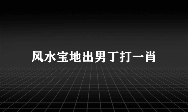 风水宝地出男丁打一肖