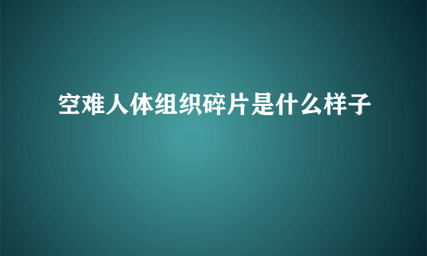 空难人体组织碎片是什么样子