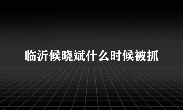 临沂候晓斌什么时候被抓