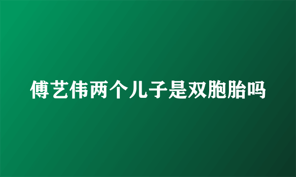 傅艺伟两个儿子是双胞胎吗