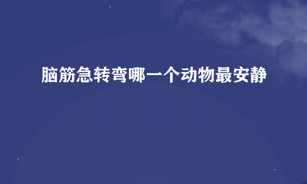 脑筋急转弯哪一个动物最安静