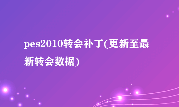 pes2010转会补丁(更新至最新转会数据)