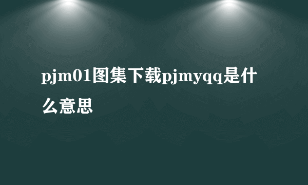 pjm01图集下载pjmyqq是什么意思