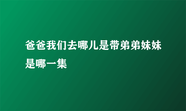 爸爸我们去哪儿是带弟弟妹妹是哪一集