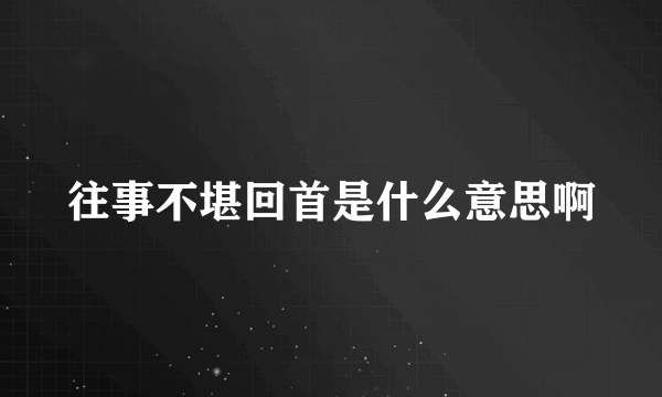 往事不堪回首是什么意思啊