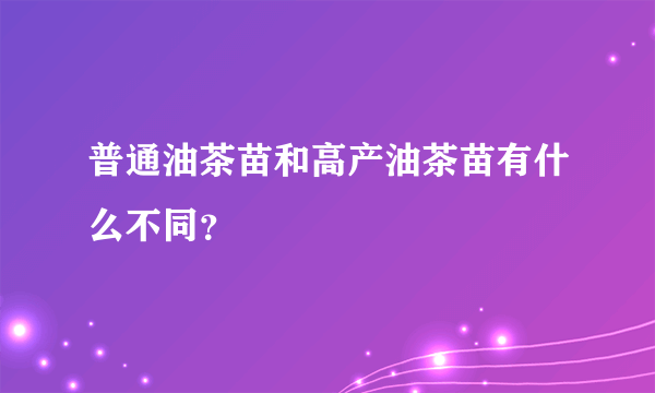 普通油茶苗和高产油茶苗有什么不同？