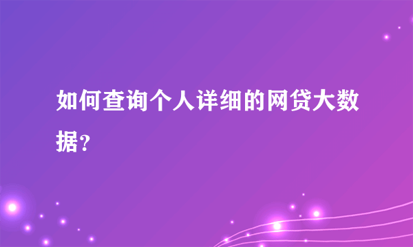 如何查询个人详细的网贷大数据？