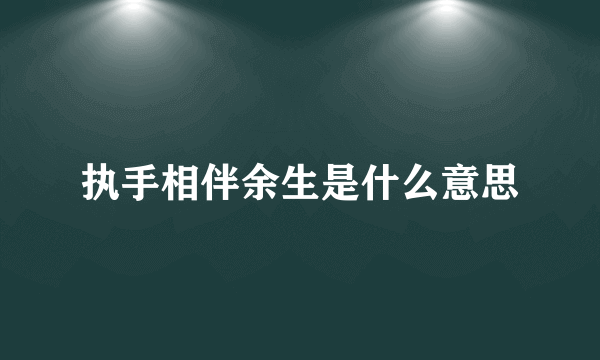 执手相伴余生是什么意思