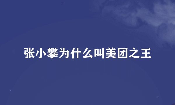 张小攀为什么叫美团之王