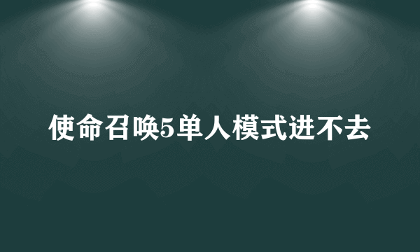 使命召唤5单人模式进不去