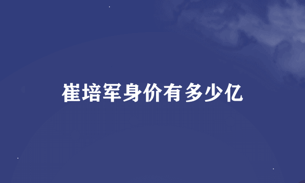 崔培军身价有多少亿