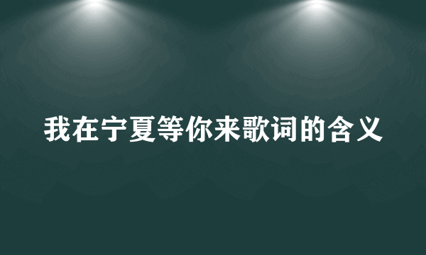 我在宁夏等你来歌词的含义