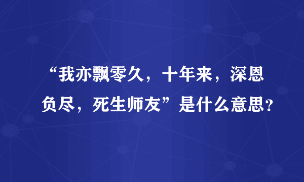 “我亦飘零久，十年来，深恩负尽，死生师友”是什么意思？