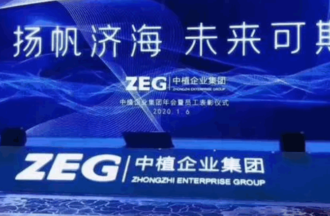 中植系什么意思?