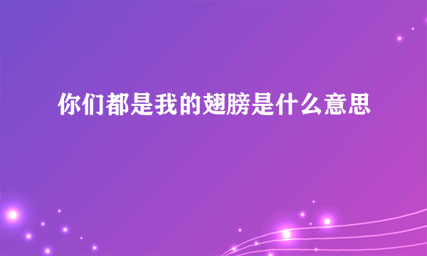 你们都是我的翅膀是什么意思