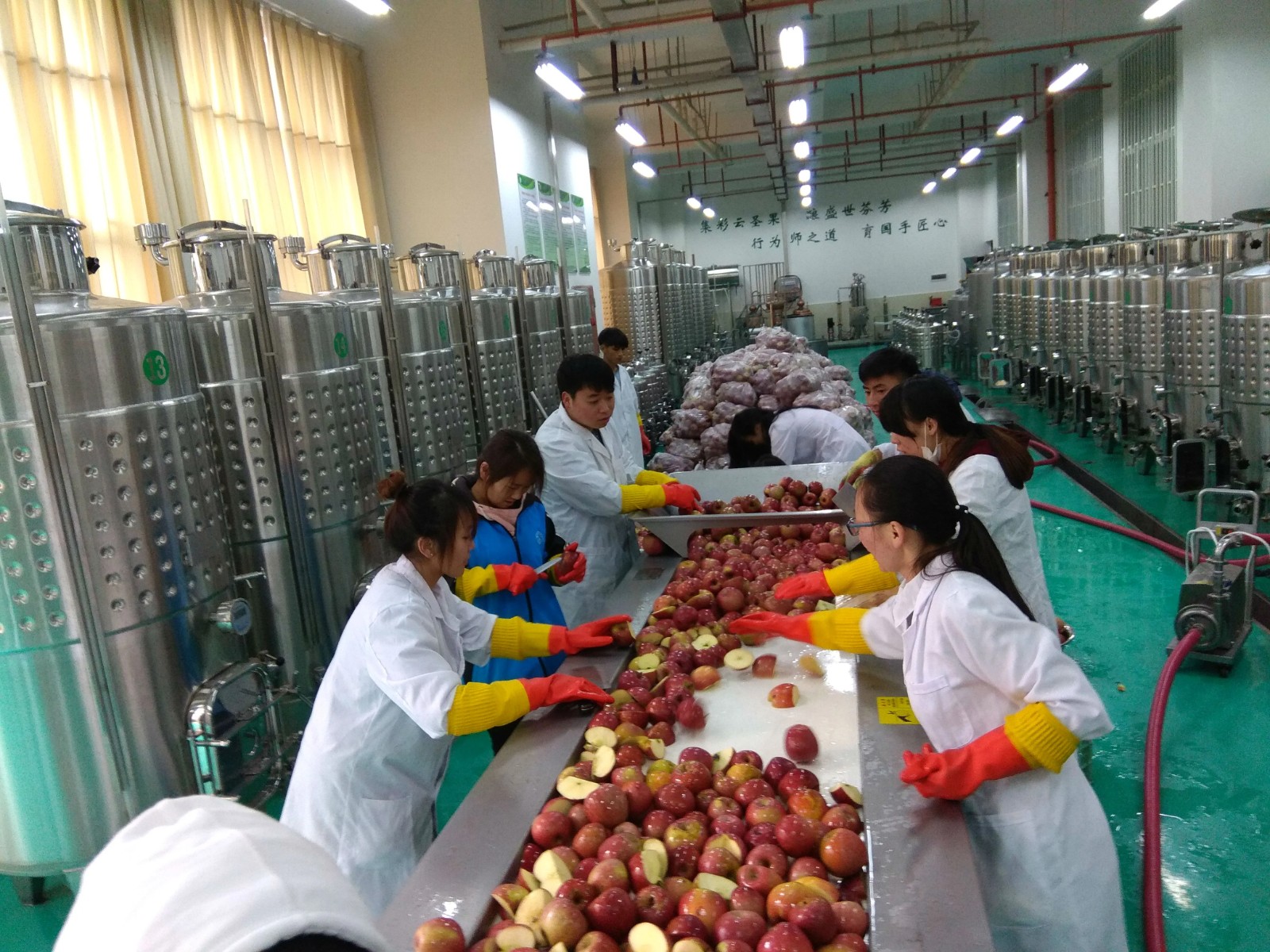 食品生物技术就业方向