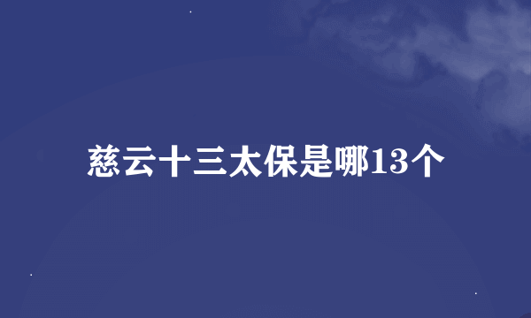 慈云十三太保是哪13个