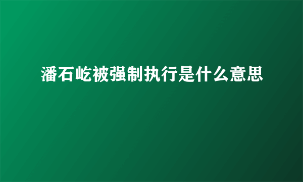 潘石屹被强制执行是什么意思