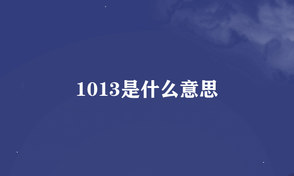 1013是什么意思