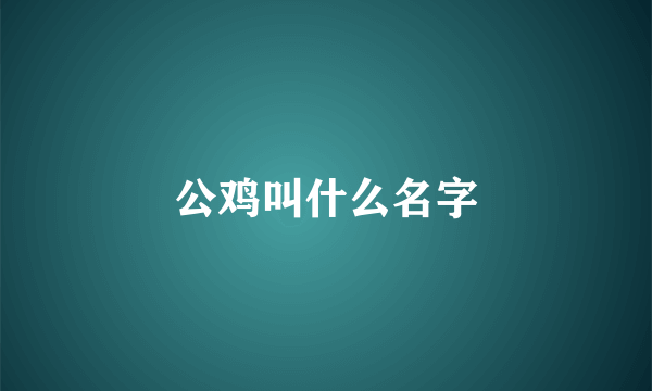 公鸡叫什么名字