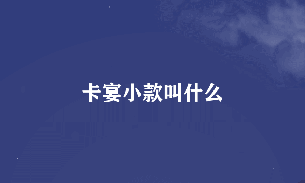 卡宴小款叫什么