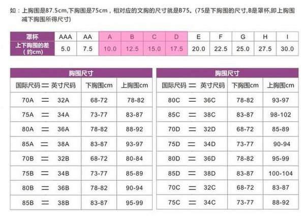 胸围34d的34和d是什么意思？