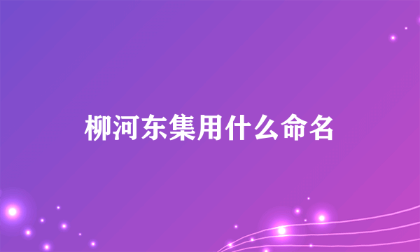 柳河东集用什么命名