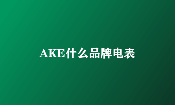 AKE什么品牌电表