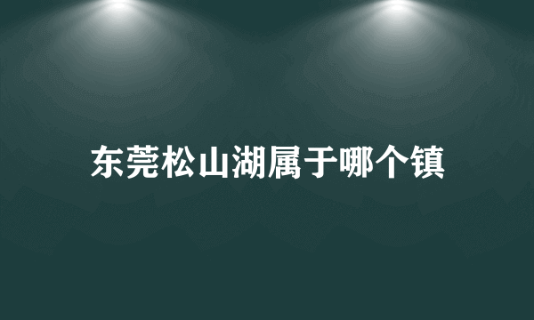 东莞松山湖属于哪个镇