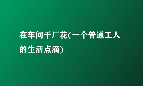 在车间干厂花(一个普通工人的生活点滴)