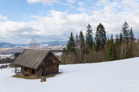 残雪《山上的小屋》原文