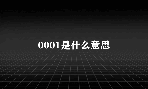 0001是什么意思