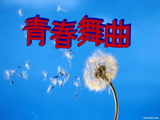 青春舞曲歌词