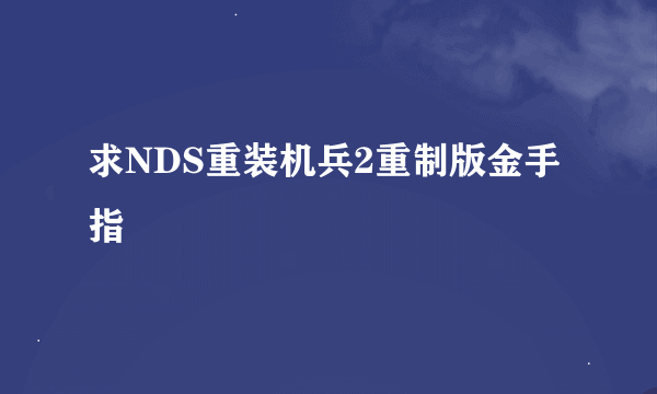 求NDS重装机兵2重制版金手指