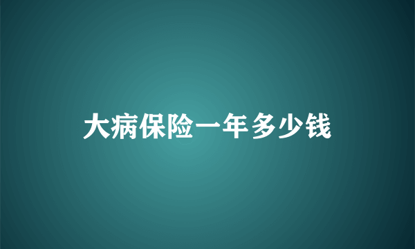 大病保险一年多少钱