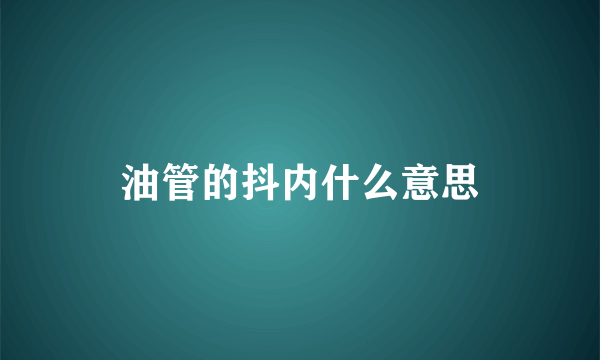 油管的抖内什么意思