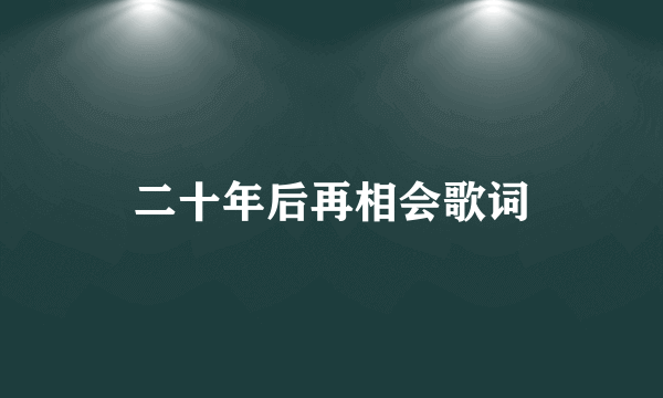 二十年后再相会歌词