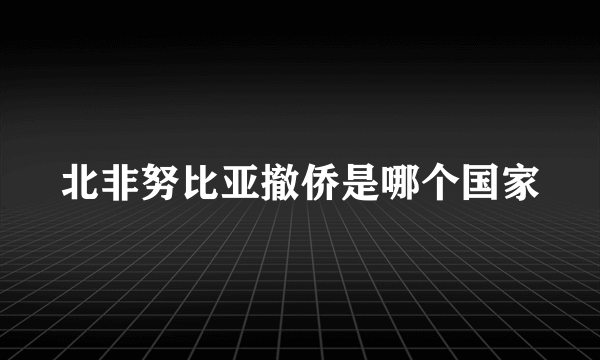 北非努比亚撤侨是哪个国家