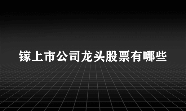 镓上市公司龙头股票有哪些