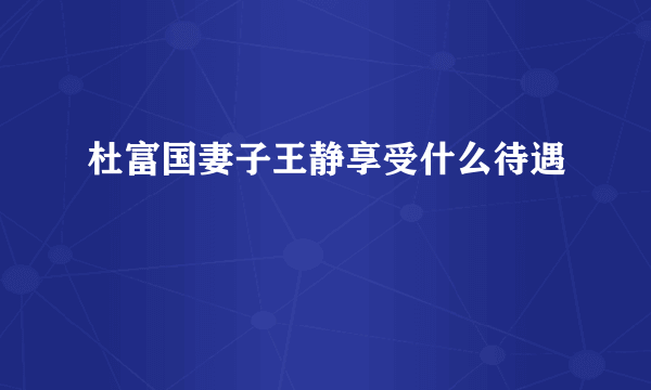 杜富国妻子王静享受什么待遇