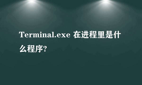 Terminal.exe 在进程里是什么程序?