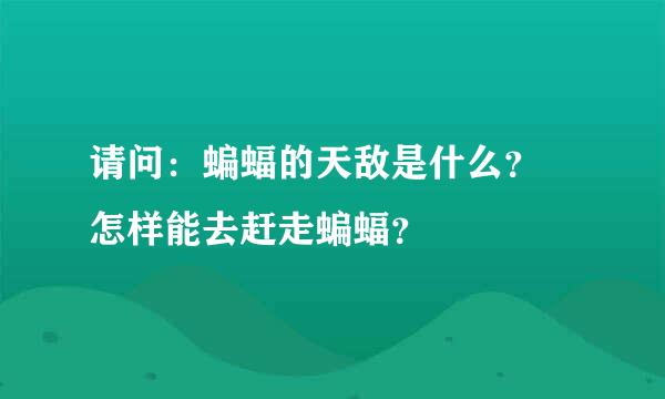 请问：蝙蝠的天敌是什么？ 怎样能去赶走蝙蝠？