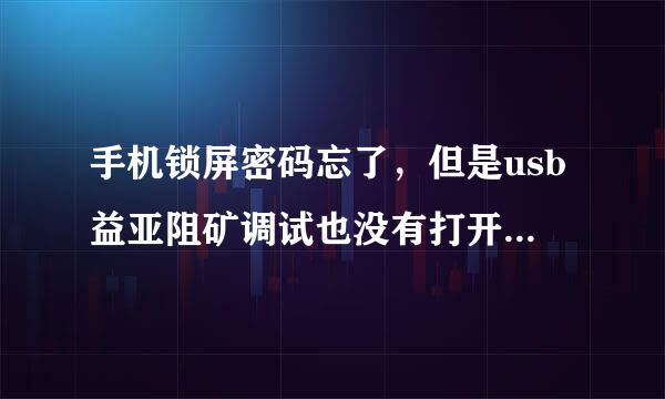 手机锁屏密码忘了，但是usb益亚阻矿调试也没有打开，该怎么解锁。