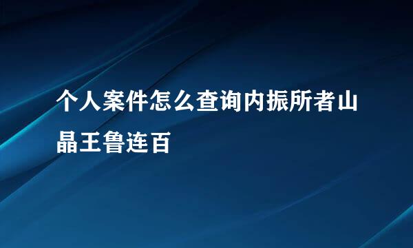 个人案件怎么查询内振所者山晶王鲁连百