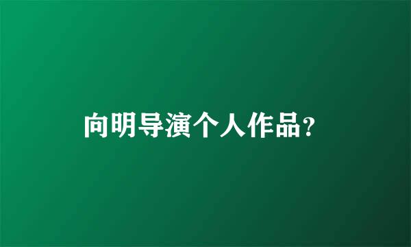 向明导演个人作品？