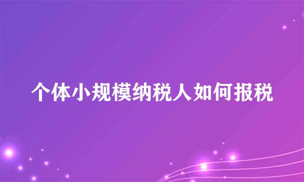 个体小规模纳税人如何报税