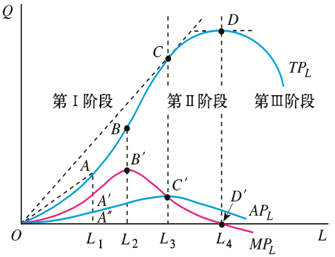 规模报酬的定义是什么?