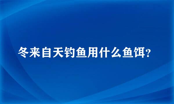 冬来自天钓鱼用什么鱼饵？