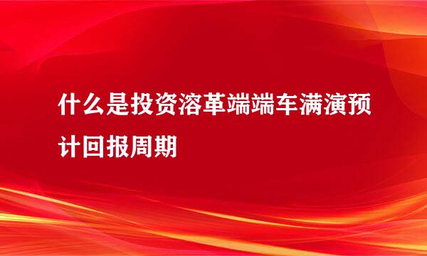 什么是投资溶革端端车满演预计回报周期