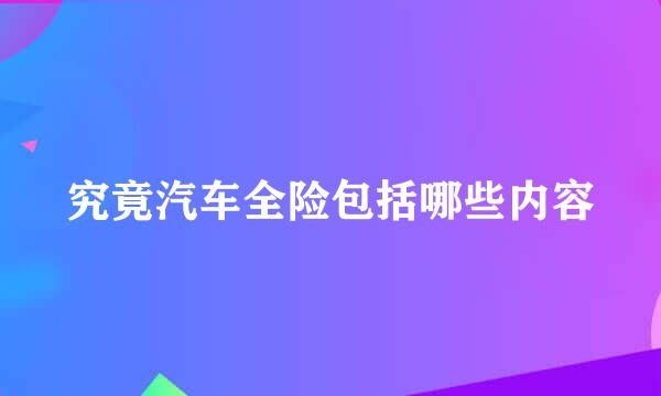 究竟汽车全险包括哪些内容